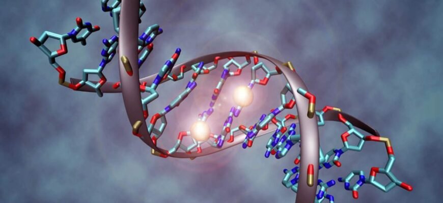 ДНК як розшифровується: відкриття та значення для науки