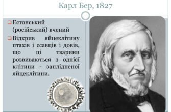 Хто відкрив клітину: першовідкривачі важливого наукового відкриття