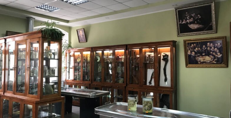 Досліджуйте Анатомічний музей Івано-Франківська: унікальна колекція та історія