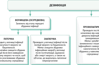 Методи дезінфекції: ефективні способи очищення від мікробів