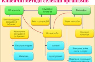 Основні методи селекції: назвіть ключові техніки для успіху в селекції