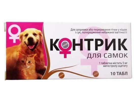 Контрик: як ефективно використовувати в ІТ-проєктах для результату