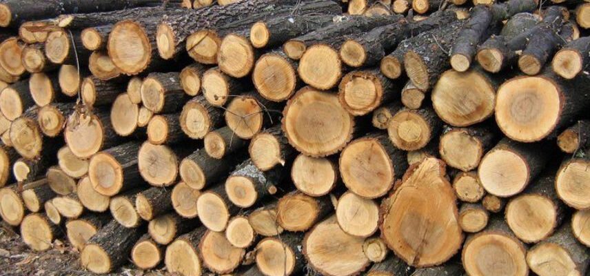 Хто має право на пільги на тверде паливо в Україні: умови та особливості