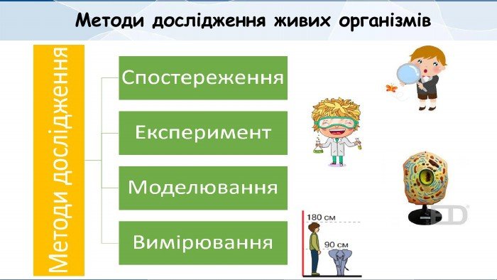 Методи дослідження організмів: сучасні технології та підходи
