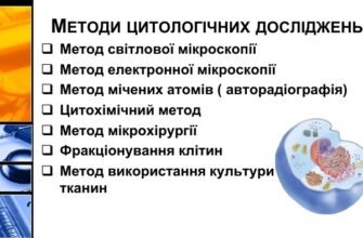 Методи цитологічних досліджень: ключові підходи та інновації у 2023 році