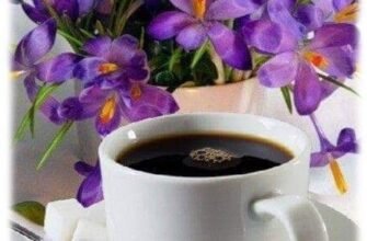 Вітання добрий ранок: як почати день з позитивними емоціями