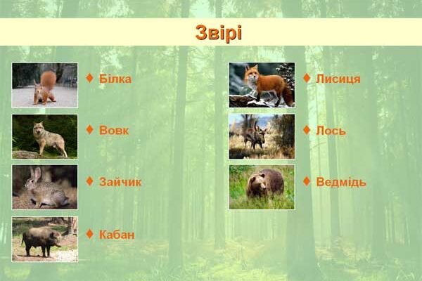 Хто живе у лісі: розкриваємо таємниці мешканців лісових гущавин