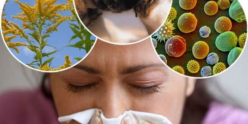 Як лікувати алергію в домашніх умовах: поради та рекомендації