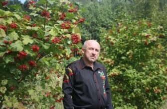 Богдан Пришляк: Біографія та Життєвий Шлях Видатної Особистості