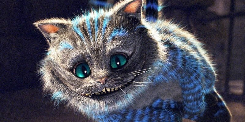 Чеширський кот порода: особливості, догляд і чарівність улюбленців