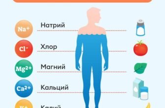 Електроліти: важливість, функції та як підтримувати баланс в організмі