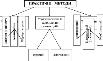 Методи фізичного виховання: ефективні підходи для здоров’я і успіху