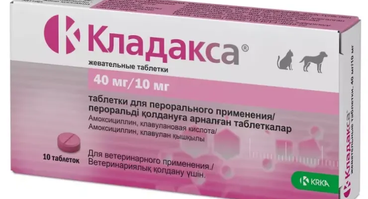 Кладакса: все, що потрібно знати про новий підхід в медицині