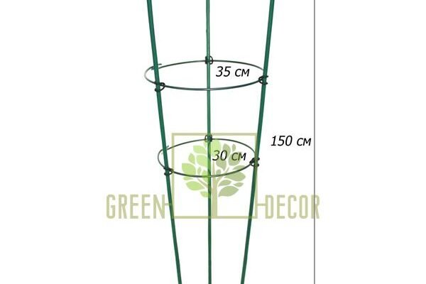 Підтримка для рослин: як забезпечити здоровий ріст і розвиток
