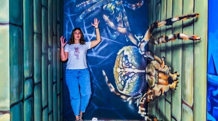 Квитки в музей фото ілюзій: деталі, ціни та поради для відвідувачів