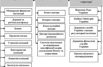 Державна підтримка малого бізнесу в Україні: можливості та перспективи