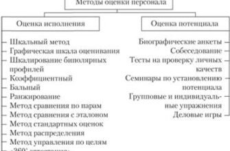 Ефективні методи оцінки персоналу: як покращити продуктивність команди