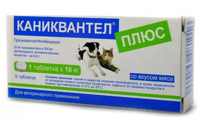 Каніквантел: Як ефективно використовувати для захисту тварин від глистів