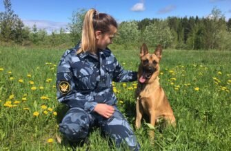 Хто такий кінолог: детальний огляд професії в Україні