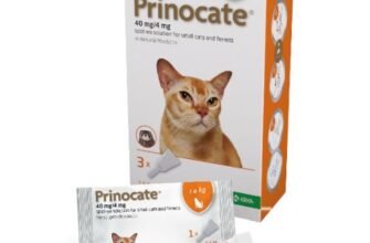 “Prinocate: Розкриття Потенціалу та Застосування – Що Потрібно Знати”