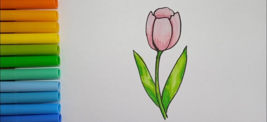 Як намалювати тюльпан: покрокова інструкція для початківців художників