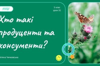 Хто такі продуценти: роль та значення в екосистемах планети