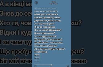 Хто ти, човне? Що шукаєш у тексті пісні: розбір та аналіз
