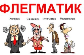 Хто такий флегматик: дізнайтеся більше про цей тип темпераменту