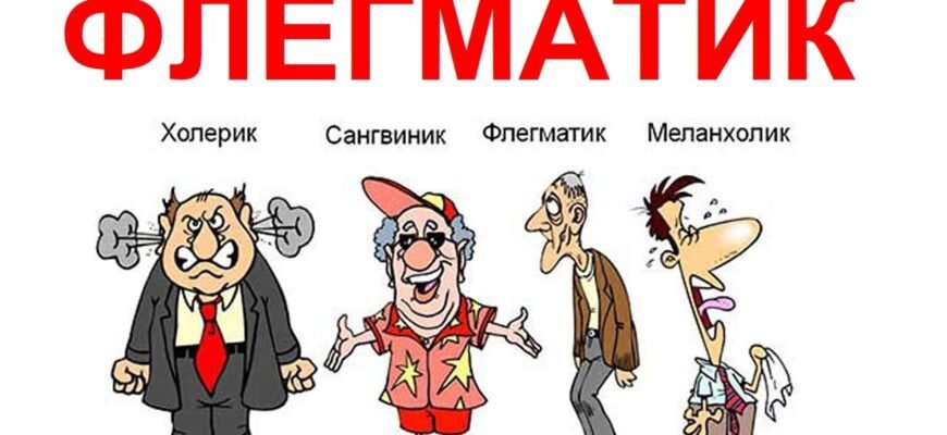 Хто такий флегматик: дізнайтеся більше про цей тип темпераменту Хто такий флегматик: дізнайтеся більше про цей тип темпераменту
