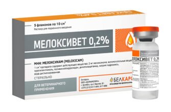 Мелоксивет: інноваційний підхід до лікування запалень у тварин