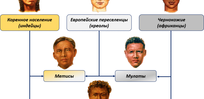 Хто такі метиси: визначення та особливості цієї змішаної групи