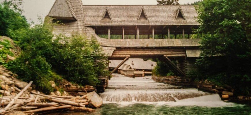 Відкрийте таємниці природи в Музеї лісу і сплаву: історія та експозиції