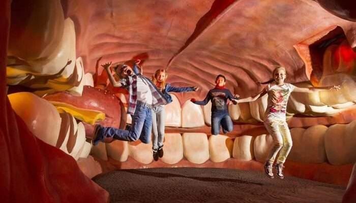 Дізнайтесь про ціни на музей Всередині Людини у Києві 2023