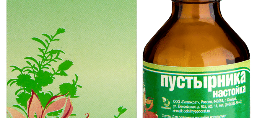 Ефективність та застосування настойки пустирника: Гайд для здоров’я