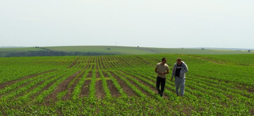 Хто купує земельні паї в Україні: ключові покупці та їх інтереси