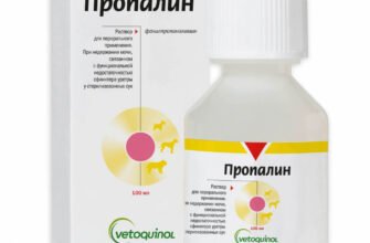 “Пропалин: Ключові Етапи та Їх Вплив на Сучасне Будівництво”
