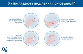 Що таке овуляція: розкриття процесу та його значення для жінки