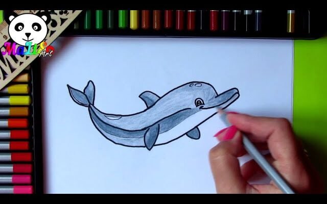 Як намалювати дельфіна: покрокова інструкція для початківців
