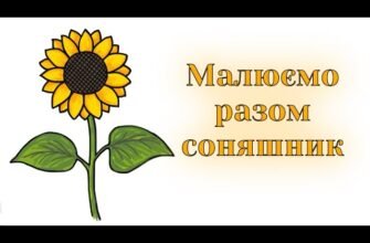 Як намалювати соняшник: покрокова інструкція для початківців художників