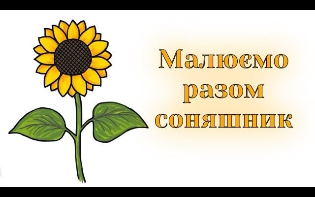 Як намалювати соняшник: покрокова інструкція для початківців художників Як намалювати соняшник: покрокова інструкція для початківців художників