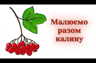 Як намалювати калину: покрокова інструкція для початківців художників