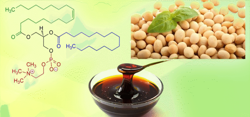 Лецитин соєвий: користь, властивості та застосування у вашому раціоні Лецитин соєвий: користь, властивості та застосування у вашому раціоні