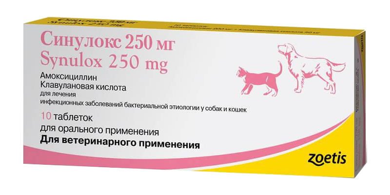 Синулокс 250: Ефективний антибіотик для тваринного здоров’я