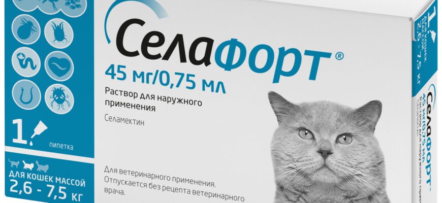 Селафорт для котів: все, що потрібно знати для захисту улюбленця