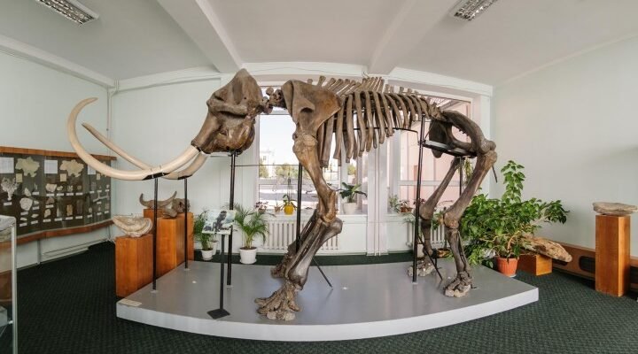 Краєзнавчий музей: унікальні експонати, які розкривають історію