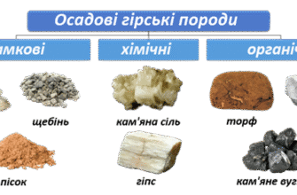 Осадові гірські породи: класифікація та різновиди для досліджень