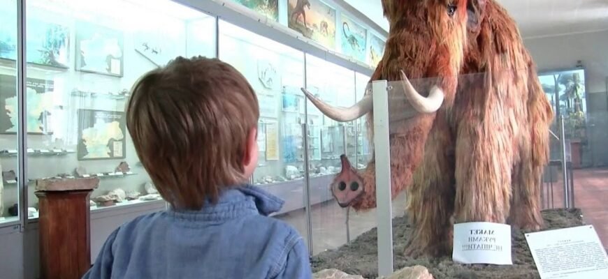 Доступні квитки: Ціни на відвідування краєзнавчого музею Києва