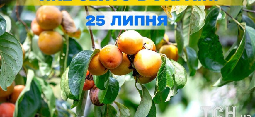 Яке сьогодні свято: Що не можна робити в цей день за традицією?