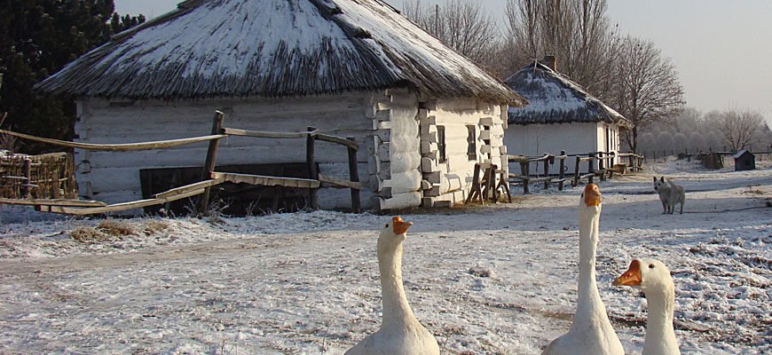 Відкрийте таємниці минулого в Музеї історії сільського господарства Волині