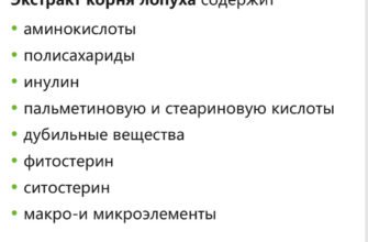 Як використовувати корінь лопуха: користь для здоров’я та краси